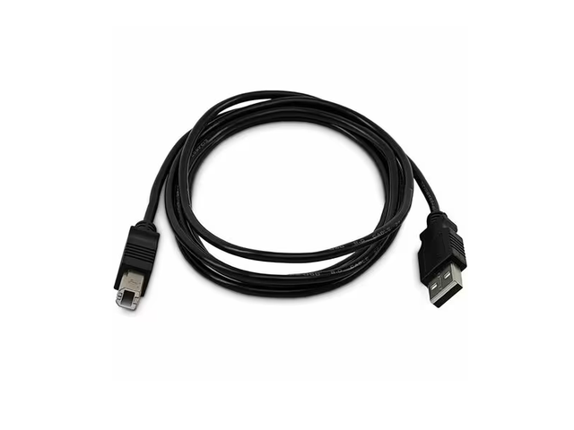 StarTech 10ft (3m) USB-A to B Cable - Universal USB 2.0 Cable - 480Mbps - M/M - TAA Compliant - SKUSBAB10-TAA