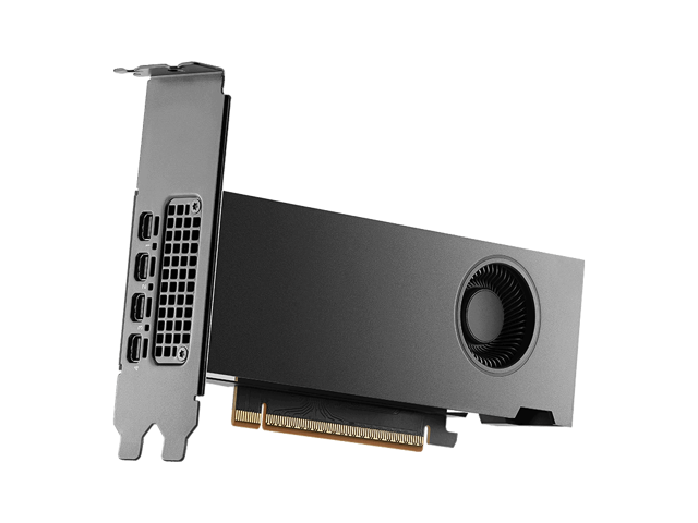 PNY NVIDIA RTX PRO 2000 Blackwell Graphic Card - 16 GB GDDR7 ECC - PCIe 5.0 x8 - Active - 2x Slot - 70 W - Bulk - VCNRTXPRO2000B-PB Graphics Card