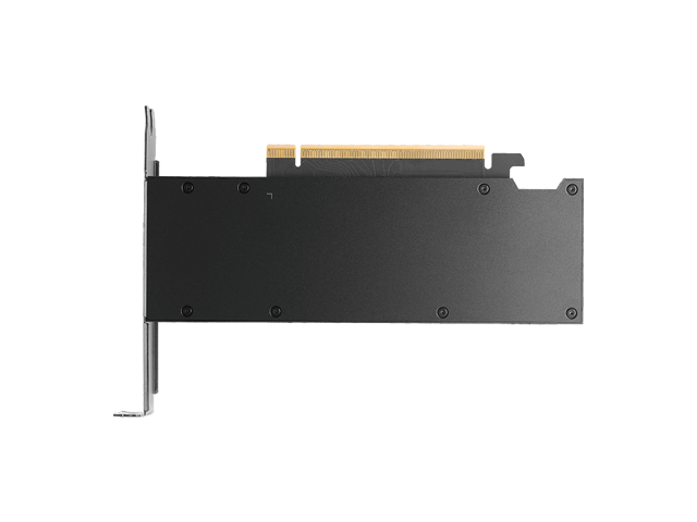 PNY NVIDIA RTX PRO 2000 Blackwell Graphic Card - 16 GB GDDR7 ECC - PCIe 5.0 x8 - Active - 2x Slot - 70 W - Bulk - VCNRTXPRO2000B-PB Graphics Card