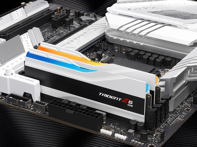 G. SKILL Trident Z5 RGB Series 32GB (2 x 16GB) 288-Pin PC RAM DDR5 6000 (PC5 48000) Desktop Memory Model F5-6000J3636F16GX2-TZ5RW