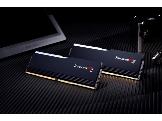 G. SKILL Ripjaws M5 RGB Series 32GB (2 x 16GB) 288-Pin PC RAM DDR5 6000 (PC5 48000) Desktop Memory