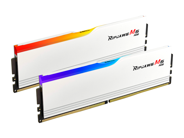 G. SKILL Ripjaws M5 RGB Series 32GB (2 x 16GB) 288-Pin PC RAM DDR5 6000 (PC5 48000) Desktop Memory