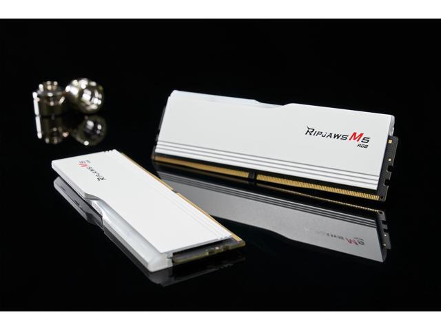G. SKILL Ripjaws M5 RGB Series 32GB (2 x 16GB) 288-Pin PC RAM DDR5 6000 (PC5 48000) Desktop Memory