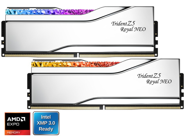 G. SKILL Trident Z5 Royal Series 64GB (2 x 32GB) 288-Pin PC RAM DDR5 6000 (PC5 48000) Desktop Memory Model F5-6000J3036G32GX2-TR5NS