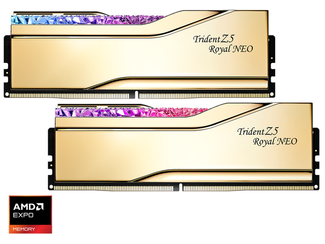 G. SKILL Trident Z5 Royal Series 64GB (2 x 32GB) 288-Pin PC RAM DDR5 6000 (PC5 48000) Desktop Memory Model F5-6000J2636H32GX2-TR5NG