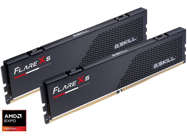 G. SKILL Flare X5 192GB (4 x 48GB) 288-Pin PC RAM DDR5 6000 (PC5 48000) Desktop Memory Model F5-6000J2836G48GX4-FX5