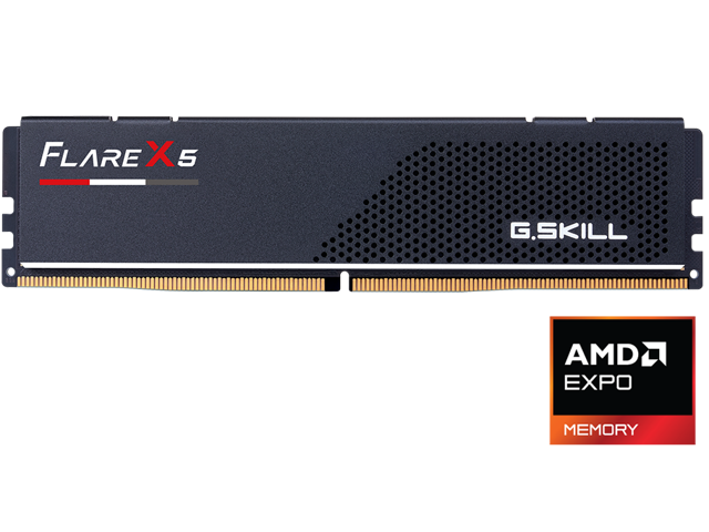 G. SKILL Flare X5 8GB 288-Pin PC RAM DDR5 6000 (PC5 48000) Desktop Memory Model F5-6000J3038F8GH1-FX5 RAM
