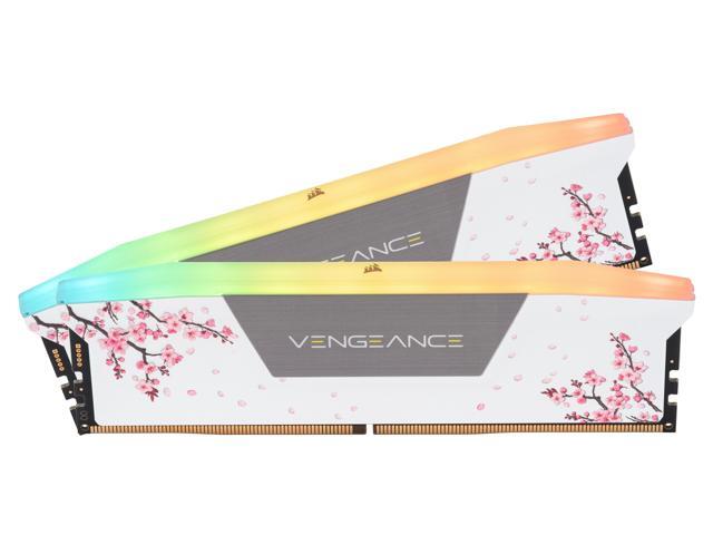 CORSAIR Vengeance RGB 32GB (2 x 16GB) 288-Pin PC RAM DDR5 6000 (PC5 48000) Custom Lab Cherry Blossom Desktop Memory Model CMH32GX5M2B6000Z30WCB -...