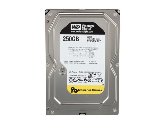 WD Re 250GB Datacenter Capacity Hard Disk Drive - 7200 RPM Class SATA 6Gb/s 64MB Cache 3.5 Inch WD2503ABYZ