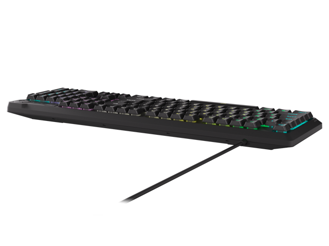 CORSAIR K55 CORE RGB Gaming Keyboard - Ten-Zone RGB - Four Dedicated Media Keys - Quiet, Responsive Switches - 300ml Spill Resistance - CORSAIR iCUE