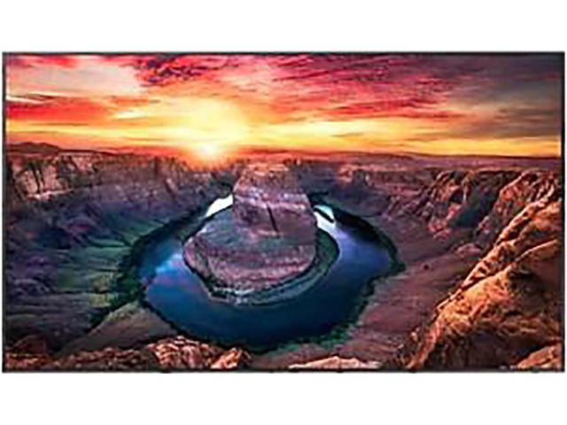 Samsung QM55B 55' Display Built-in Speaker