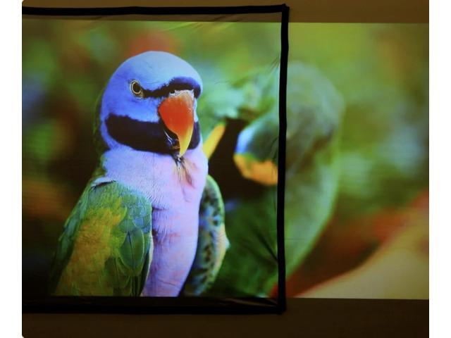 Ultimea Photon 100 E-ALR Projection Screen Up to 100:1 Intra-frame Contrast (UA2A1)