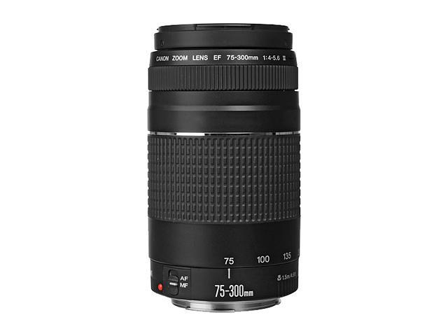 Canon EOS Rebel T6 DSLR Camera with 18 - 55 mm and 75 - 300 mm Lenses Kit