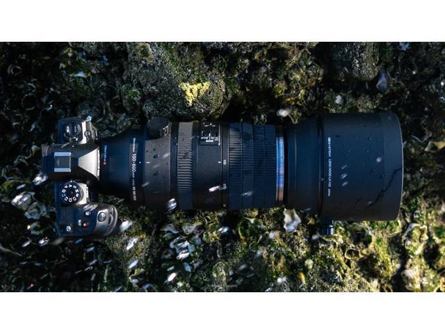 Olympus - M.ZUIKO DIGITAL 150-600 mm f/5-6.3 Telephoto Varifocal Lens Micro Four Thirds Mount - Black - image 9