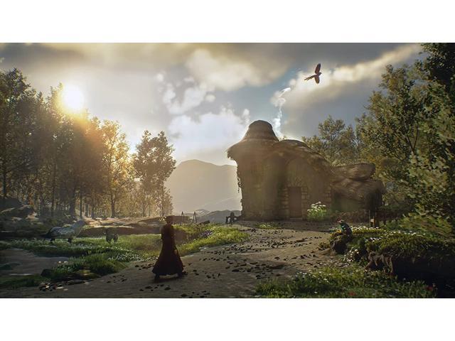 Hogwarts Legacy Standard Edition - Nintendo Switch – OLED Model, Nintendo Switch, Nintendo Switch Lite - image 3