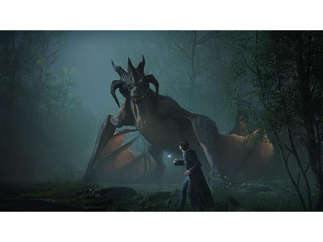 Hogwarts Legacy Standard Edition - Nintendo Switch – OLED Model, Nintendo Switch, Nintendo Switch Lite - image 11