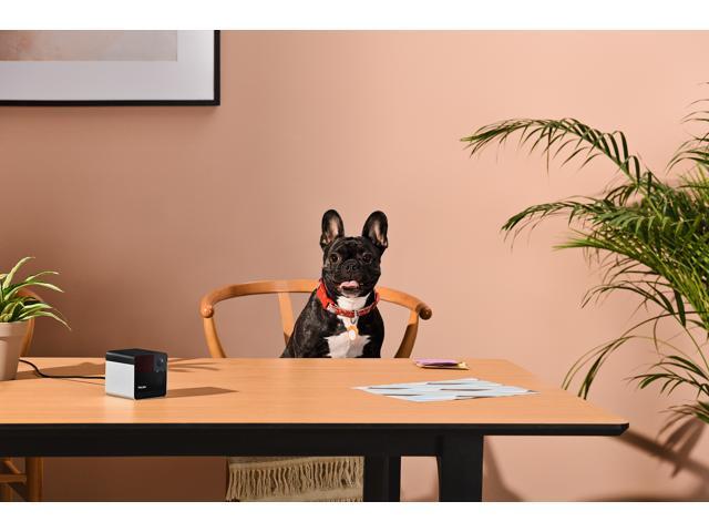 Petcube Play 2, Pet Camera w/ built-in certified laser toy, 2-way audio, Sound/Motion alerts