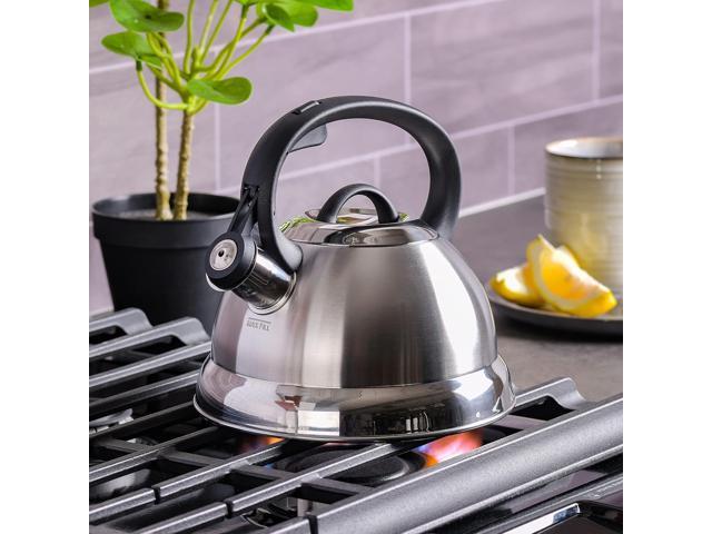 MR. COFFEE 91407.02 Flintshire 1.75-Quart Stainless Steel Whistling Tea Kettle, Silver