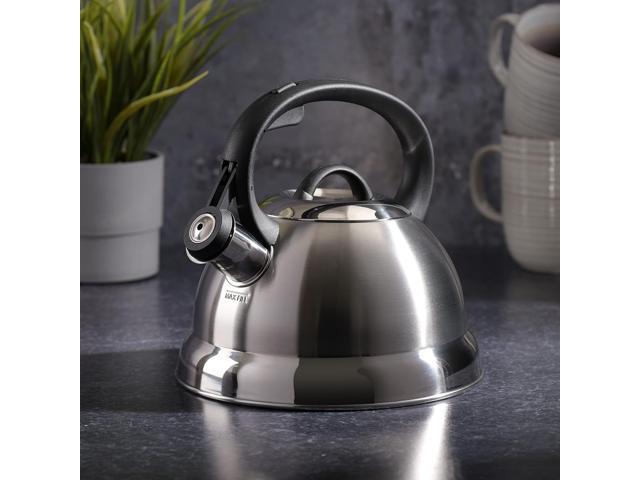 MR. COFFEE 91407.02 Flintshire 1.75-Quart Stainless Steel Whistling Tea Kettle, Silver