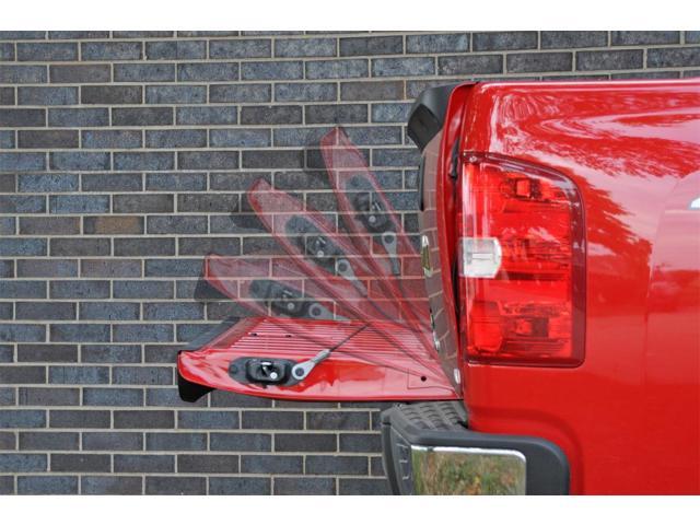 Dee Zee DZ43301 Tailgate Assist Fits 1500 2500 3500 Ram 1500 Ram 2500 Ram 3500