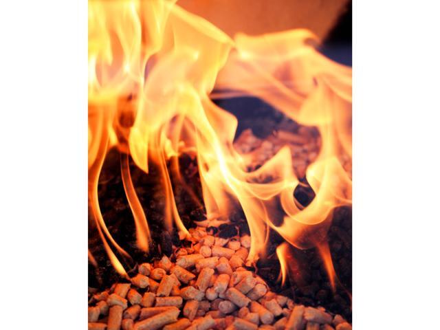 Green Mountain Grills Premium Fruitwood Pure Hardwood Grilling Cooking Pellets