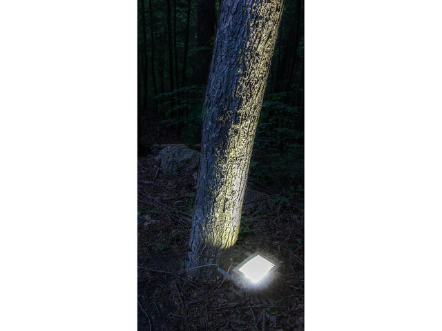 Maxsa Innovations 80 Lumen Dust to Dawn Solar Powered Outdoor Flood Light, Black