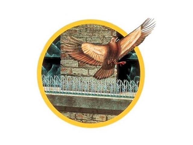 BIRD-X SP-25 Bird Repellent Spikes,25 ft. L,PK25