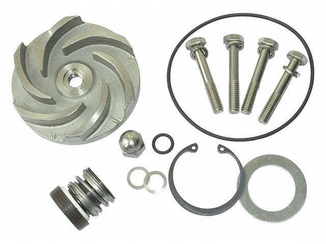 DAYTON 21TG91 Pump Repair Kit,For 2ZWZ1A