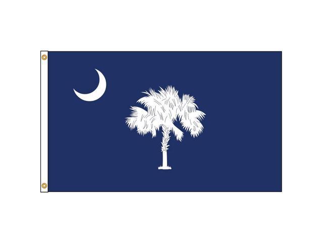 ANNIN FLAGMAKERS 144880 South Carolina Flag,5x8 Ft,Nylon