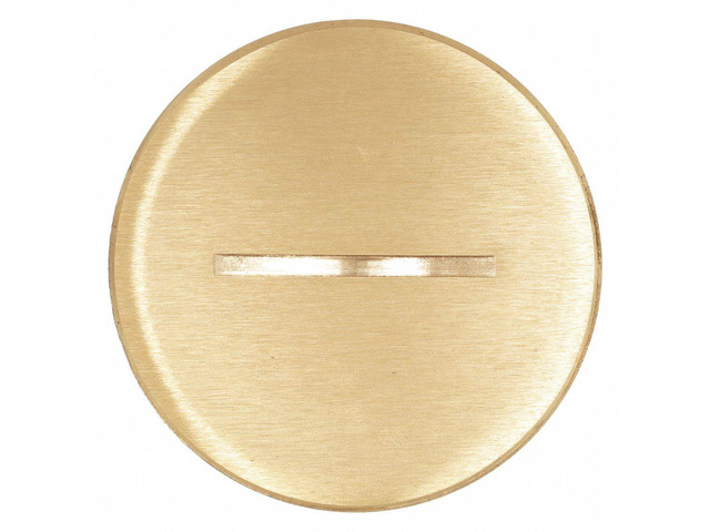 HUBBELL WIRING DEVICE-KELLEMS S5020 Box Cover, 1 Gang, Brass, Flush Cover Type
