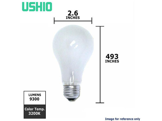 Ushio 1000024 - BAH INC115V-300W Projector Light Bulb