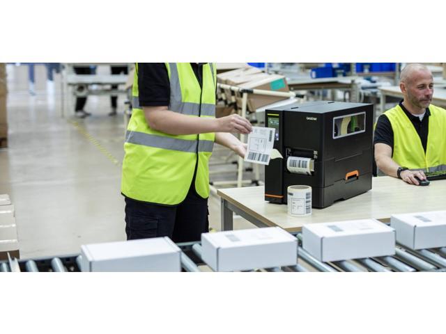 Brother Genuine RD006U1S Standard Die-Cut Labels, White Paper, 4 inch x 6 inch, Shipping, Direct Thermal, 500 Labels/Roll, 8 Rolls, 4,000 Total Labels