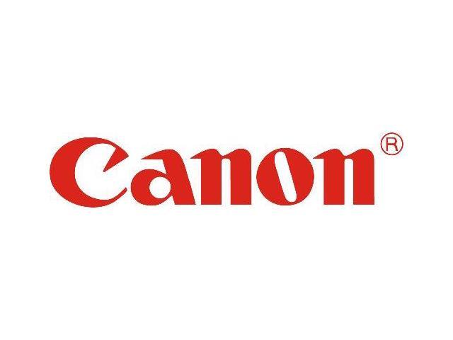 Canon 8028B001 Separation Pad Unit - For Imageformula P-208