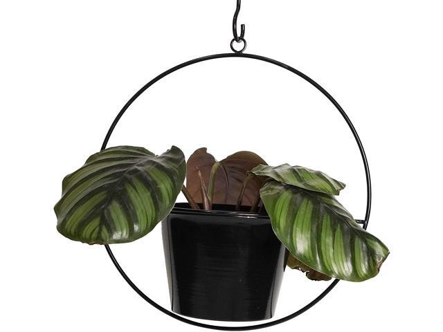 Hanging Ceiling Metal 6' Home Garden Flower Plant Pot Holder Stand Black