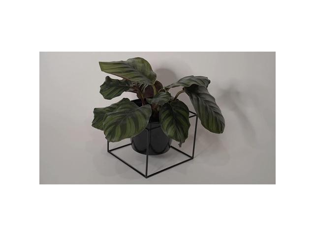 Metal Square Flower Plant Pot with Stand 6' Indoor Modern Planter Pot - Black