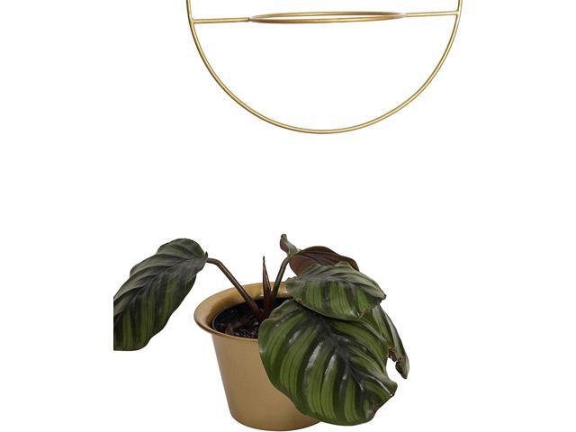 Plant Hanger 6 Inch Hanging Pot Wall Planters Indoor Hanging Planter - Gold