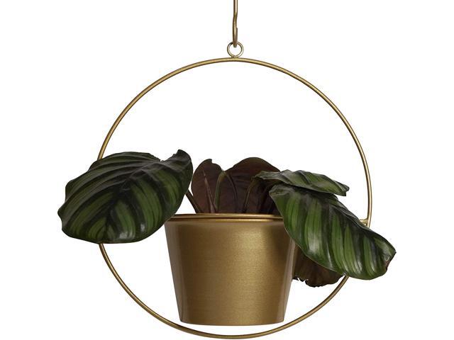 Plant Hanger 6 Inch Hanging Pot Wall Planters Indoor Hanging Planter - Gold