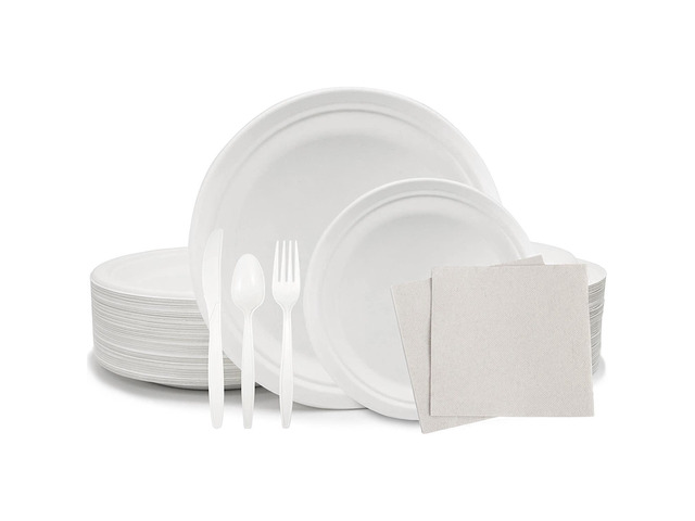300 PCS Disposable Eco-Friendly Premium Party Supply Dinnerware 50 Guests Set