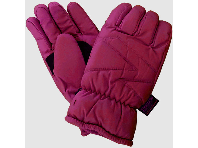 Cold Storage Women's 3M Thinsulate Fleece Lined Ski Gloves Plum- Small