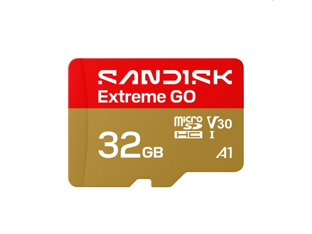 SanDisk Extreme GO microSD 32GB microSDHC Memory Card, Up to 100MB/s UHS-I U3 4K V30 A1 for Android SDSQXGN-032G-GN6MN