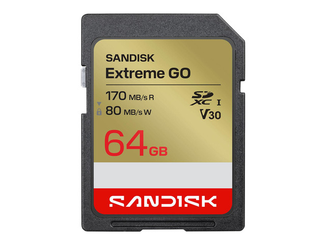 SanDisk Extreme GO SD 64GB SDXC Memory Card, Up to 170MB/s UHS-I U3 V30 4K UHD SDSDXGN-064G-GNCIN