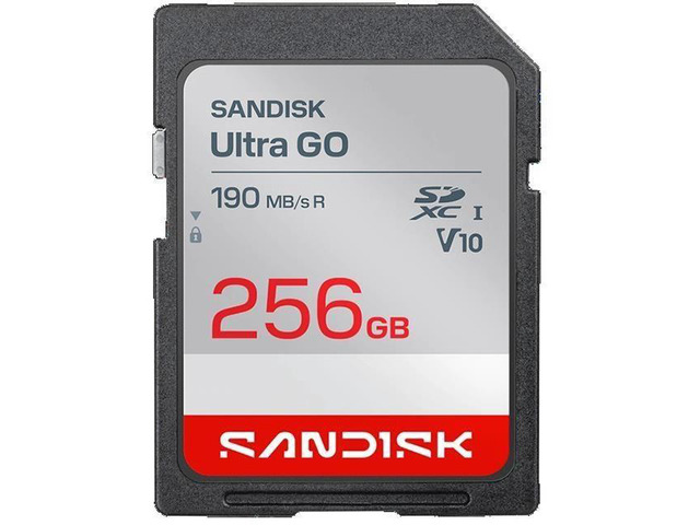 SanDisk Ultra GO SD 256GB Secure Digital Extended Capacity SDXC Memory Card, Up to 190MB/s UHS-I A1 C10 U1 V10 SDSDUGN-256G-GN6IN