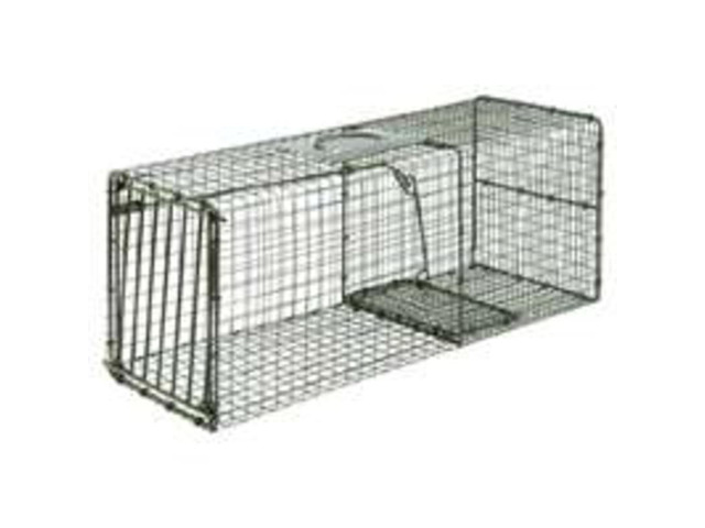 Animaltrap Hd Safe/Quick Reles DUKE PECAN CO Animal Traps 1112 011627011126