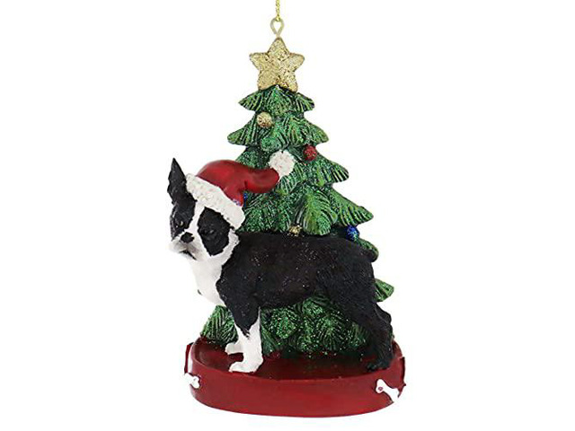 Kurt Adler Boston Terrier Wearing Santa Hat With Christmas Tree Ornament C7615Bt New