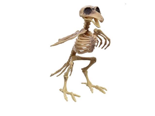 Photos - Other kitchen appliances Bird Skeleton Halloween Decor Prop 7 10095168