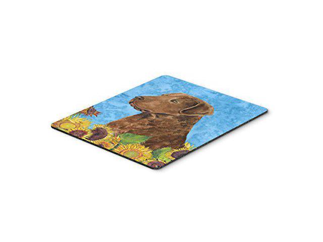 Carolines Treasures SS4165MP Curly Coated Retriever Mouse Pad, Hot Pad or Trivet, Large, Multicolor