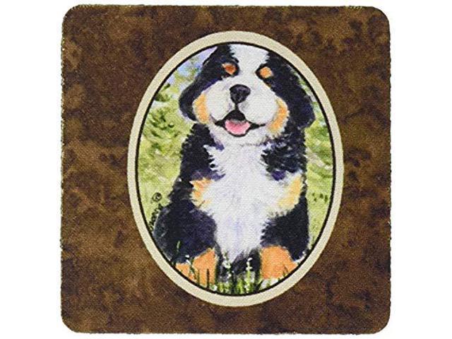 Carolines Treasures Bernese Mountain Dog Foam Coasters (Set of 4), 3.5' H x 3.5' W, Multicolor
