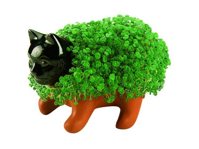 Chia Pet Planter - Kitten