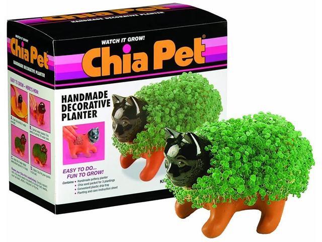 Chia Pet Planter - Kitten