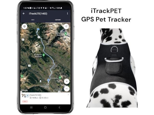 Worldwide Compatible Mini Portable Gsm Gps Pet Collar Realtime Tracker Size:L